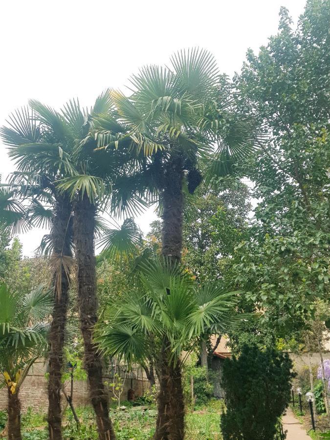 فندق Residenza I Marchesi فلورنس المظهر الخارجي الصورة